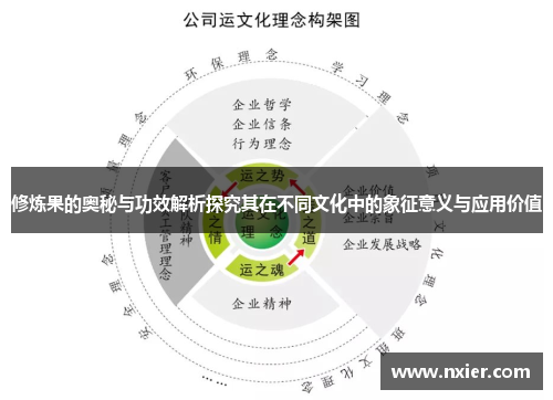 修炼果的奥秘与功效解析探究其在不同文化中的象征意义与应用价值